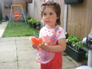 Watermelon